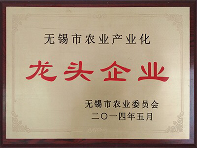 b3.jpg