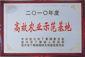 b6.jpg