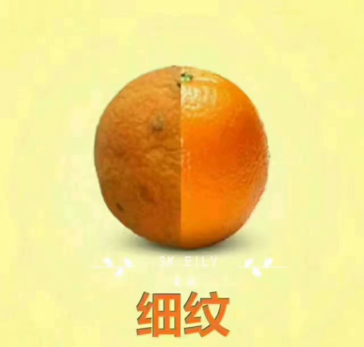 微信图片_20170919170419.jpg