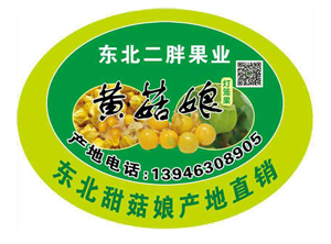488043725483415520副本副本.png